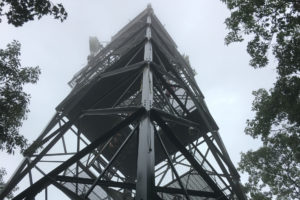 Dorset Lookout tower