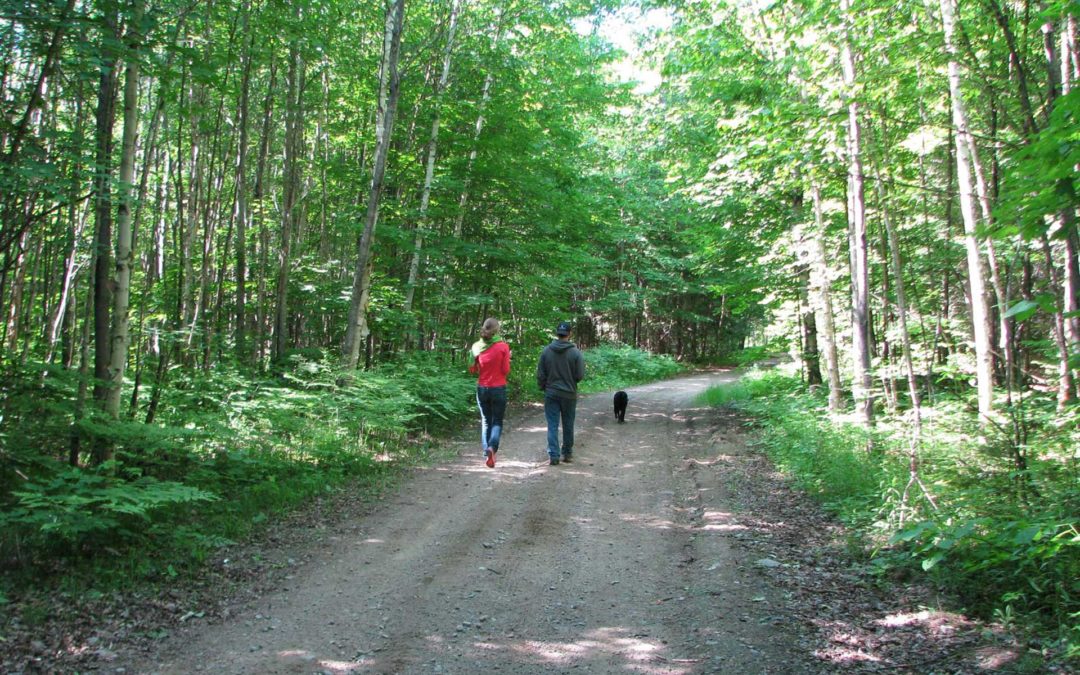 Why You Must Visit Wilberforce
