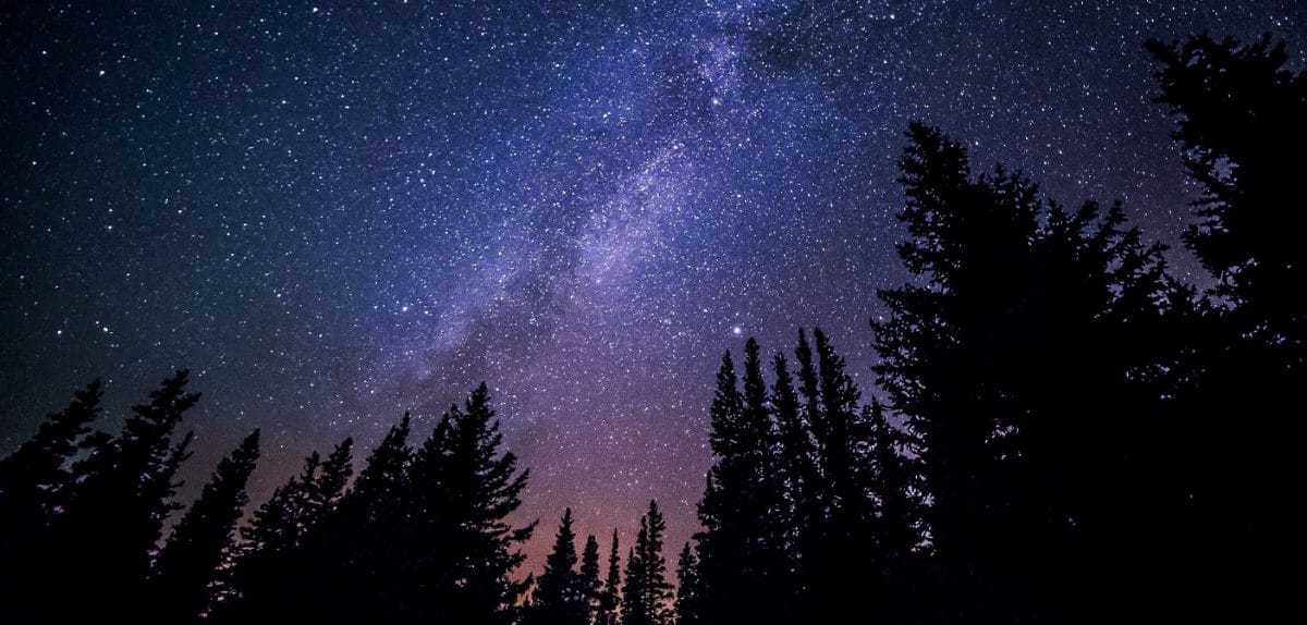 Milky way stars in the night sky in Haliburton Forest