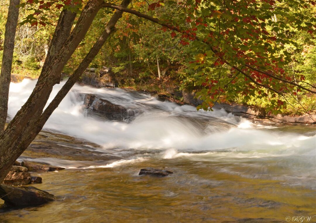 Fall Colours My Haliburton Highlands