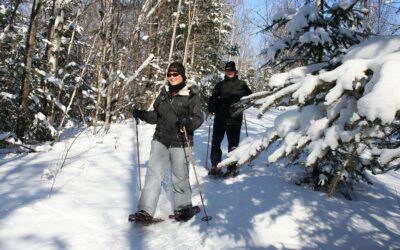 Snowshoeing, what to bring?