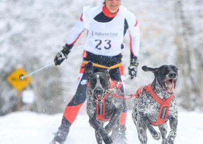 Person nordic skiing with two dogs pulling them.