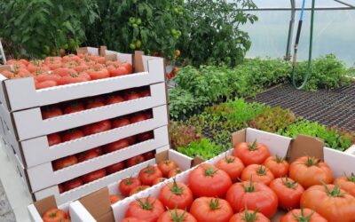 Farmers Markets