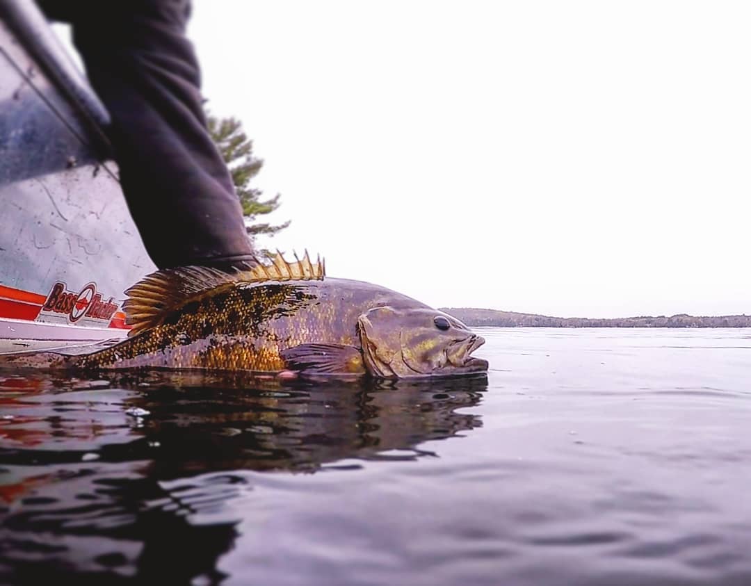 Fishing - My Haliburton Highlands