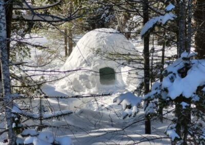 an igloo in the forest