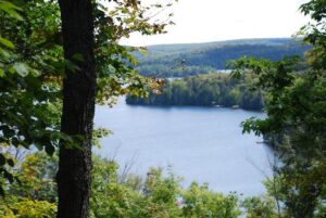view form Harwood Lookout in Algonquin Park