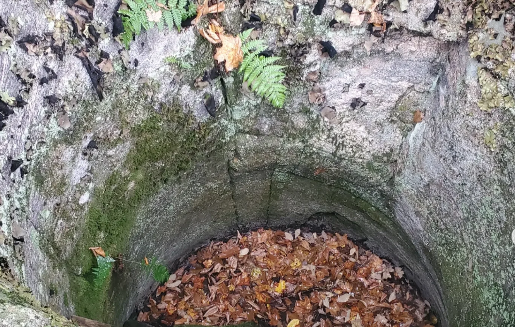 The Harburn Wells