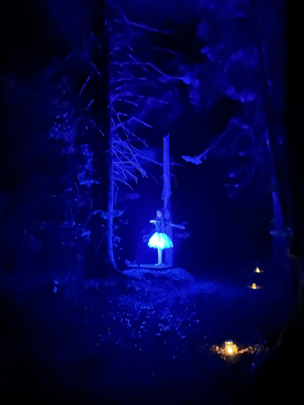 Ballerina in the Forest - scene from 2025 Haunt