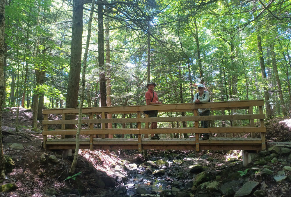 Barnum Creek Nature Reserve