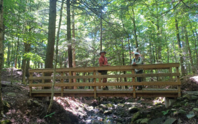 Barnum Creek Nature Reserve