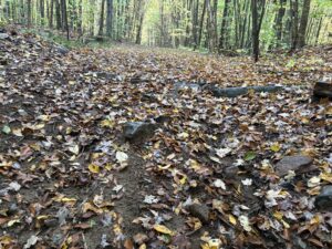 Madison Twin Lakes Trails